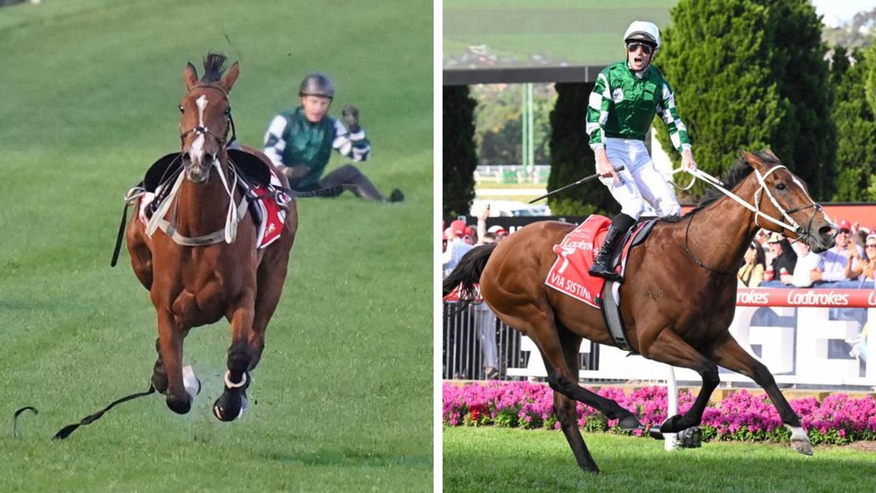 ‘We were doomed’: Cox Plate insanity stuns