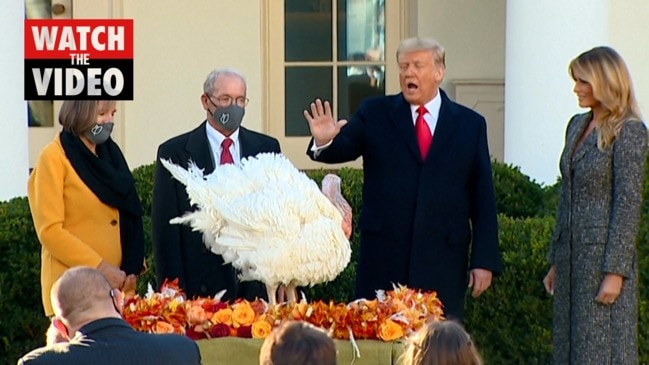 Trump pardons Thanksgiving turkey, gets asked if he will pardon himself