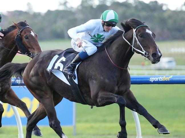 Name Dropper (NZ) ridden by Ethan Brown wins the Vale Fr Brendan Dillon at Sportsbet Sandown Hillside Racecourse on June 15, 2024 in Springvale, Australia. (Photo by Scott Barbour/Racing Photos via Getty Images)
