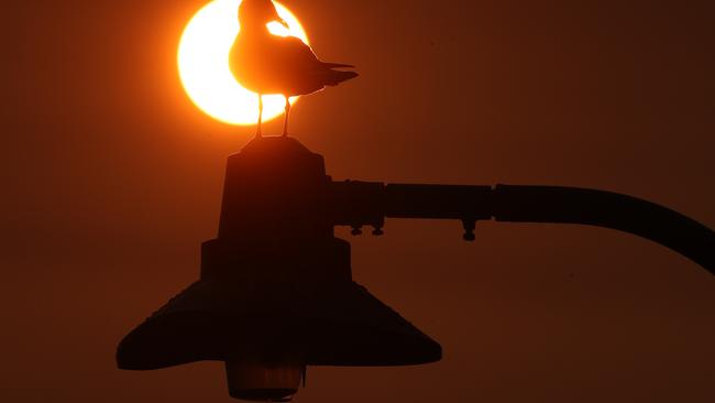 A Smokey sun rises over Bondi and Bronte ahead of a forecast Sydney heatwave. Picture: John Grainger