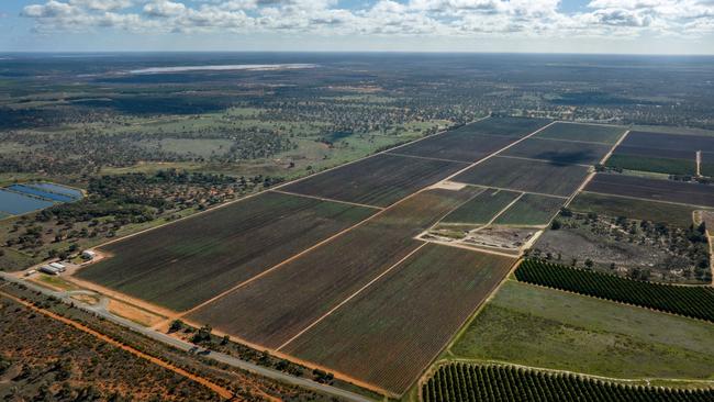 Duxton Vineyards have sold Hollands Lake Road and Gol Gol vineyards, spanning a combined 222ha-plus.