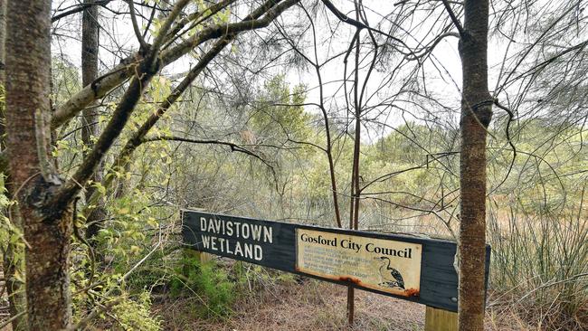 The future of Davistown wetlands is in doubt. Picture: Troy Snook