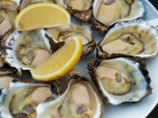 Oh shell yeah! State’s largest oyster firm back in business