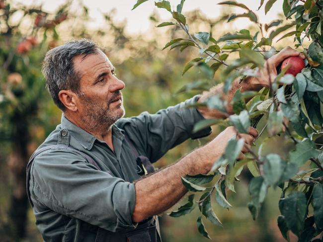 ‘Breeding ground’ for modern form of slavery: Bundaberg named in damning report