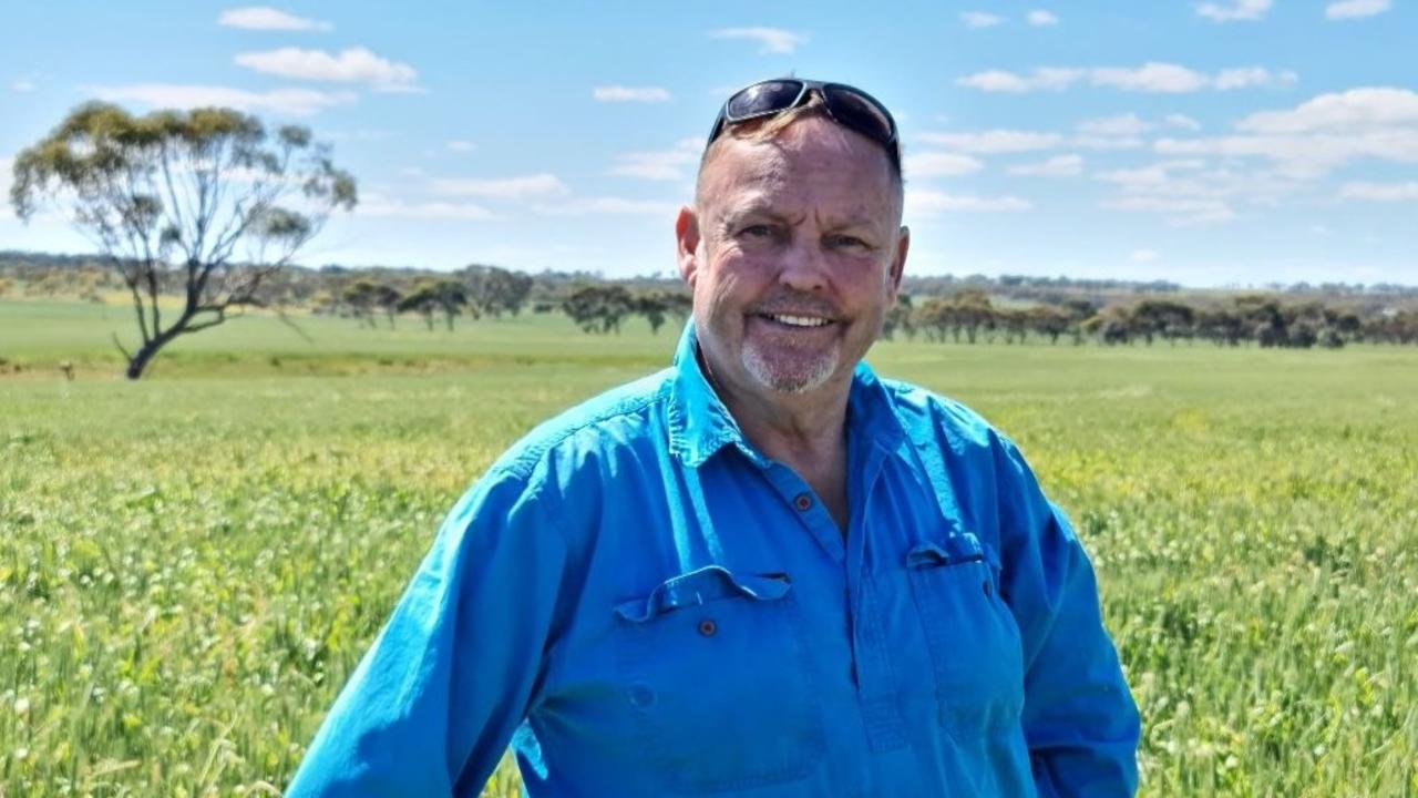 Rising canola prices bittersweet for farmers