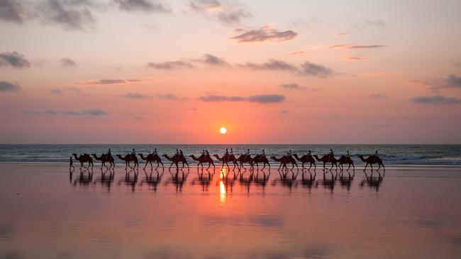 The famous sunset camel ride along Cable Beach in Broome, Western Australia