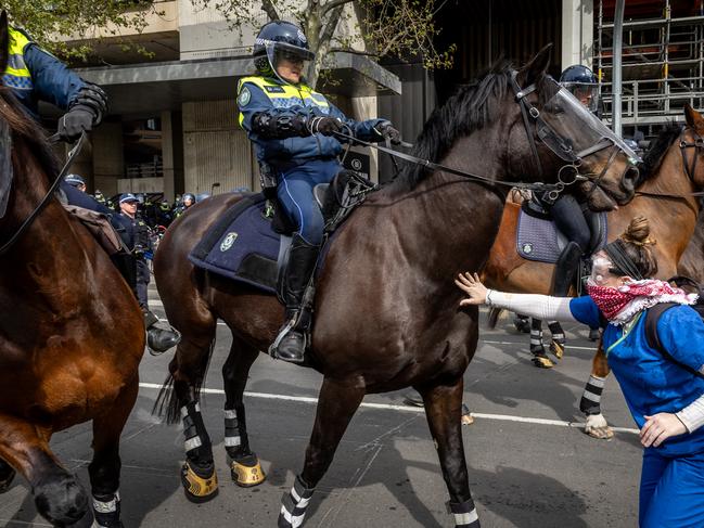 The police could’ve used the late Star Video — a one-horse riot squad, in the year of protests 2024. Picture: Jake Nowakowski