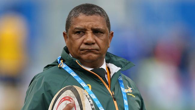 Allister Coetzee says the Wallabies remain a world class team.