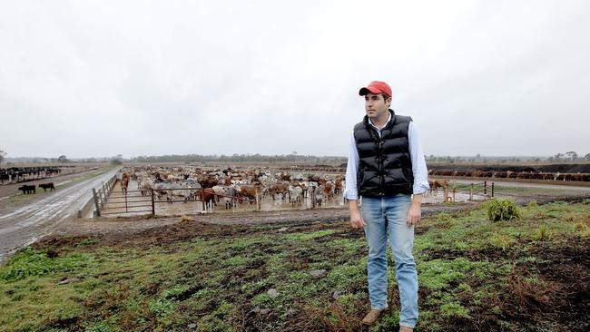 Bryce Camm at Wonga Plains Feedlot, Bowenville, Queensland. Picture: Mark Cranitch