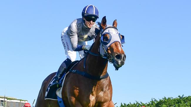 Emily Lang pilots the Nick Walsh-trained gelding Hell to victory in a Benchmark 78 race at Doomben in November. Picture: Grant Peters/Trackside Photography
