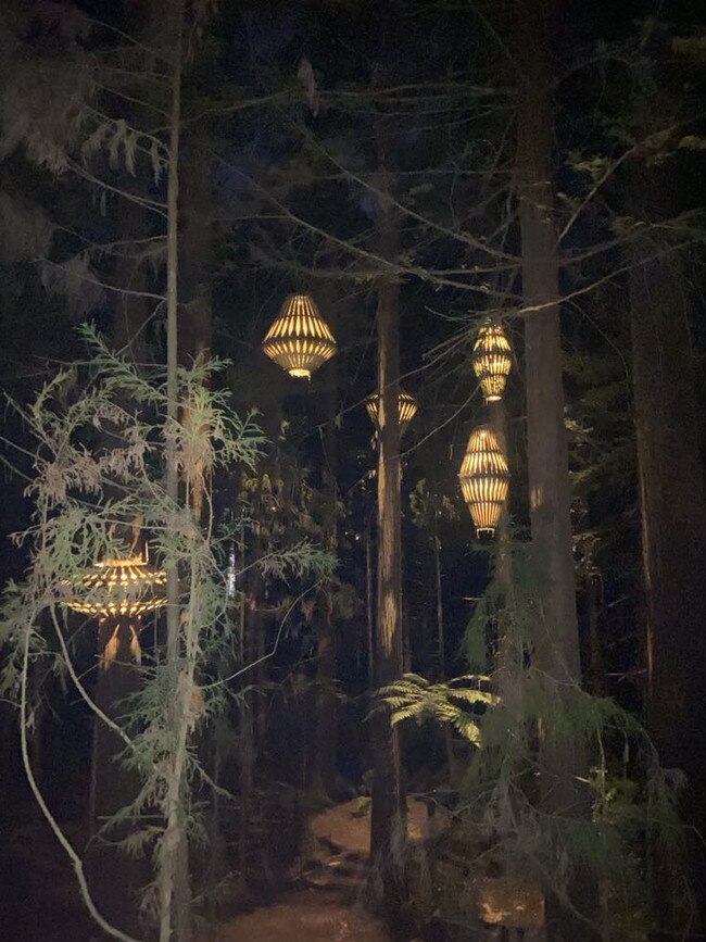 Redwoods Nightlights is a magical way to see the 100-year-old forest. Picture: Supplied/Brielle Burns