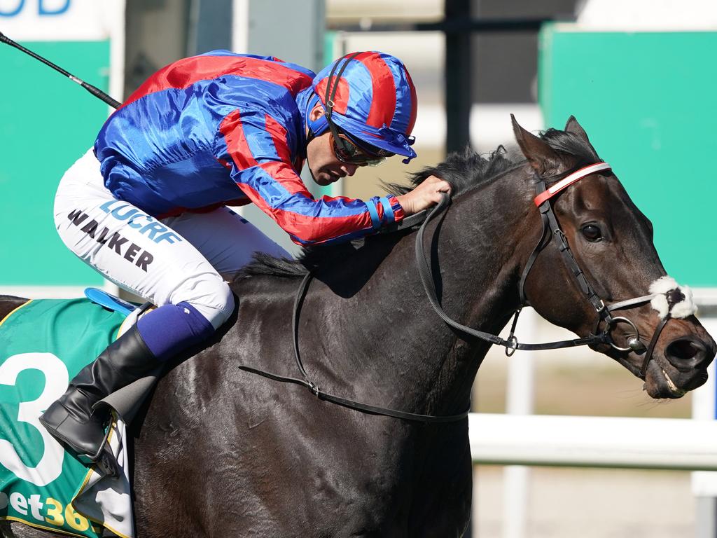 Michael Walker and Prince Of Arran combine to win the Geelong Cup.