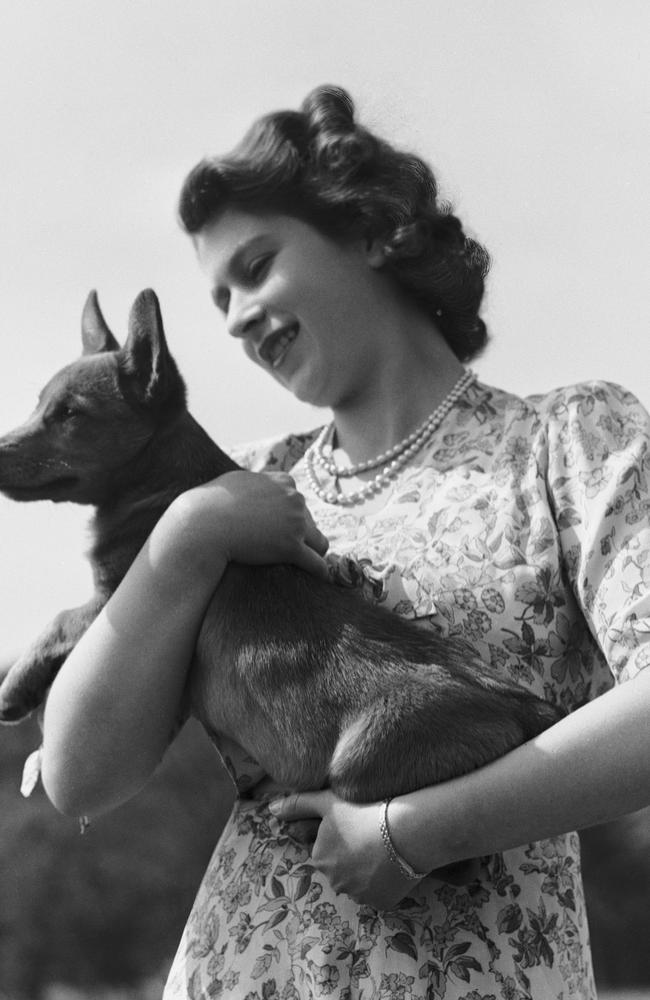 Princess Elizabeth with her pet Corgi Sue or Susan at Windsor Castle in 1944. Picture: Lisa Sheridan/Hulton Archive/Getty Images