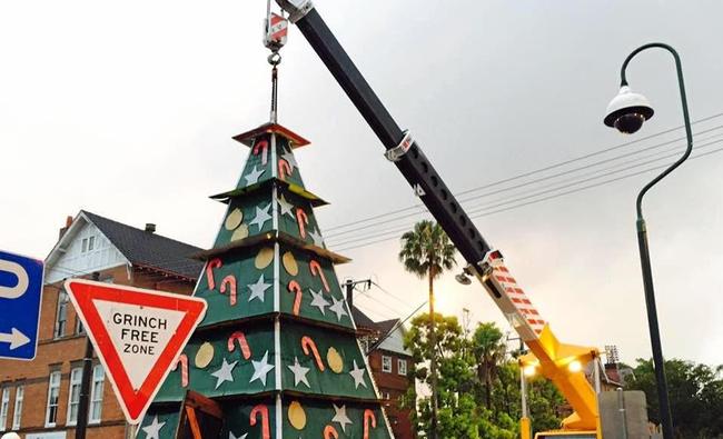 Lismore's new Christmas tree has arrived.