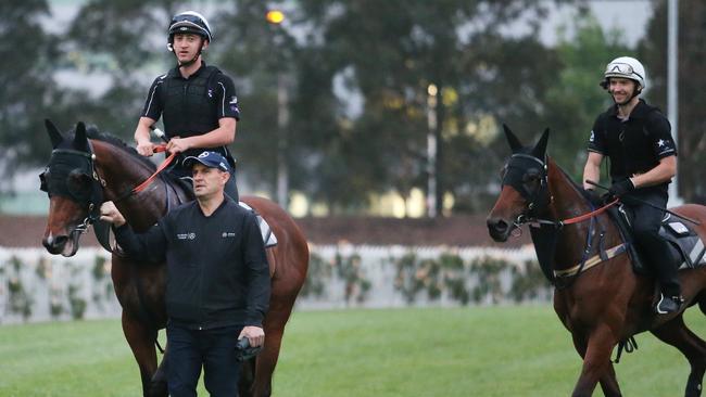 Chris Waller coulnd’t be happier with his trio heading into The Everest. Picture: Rohan Kelly