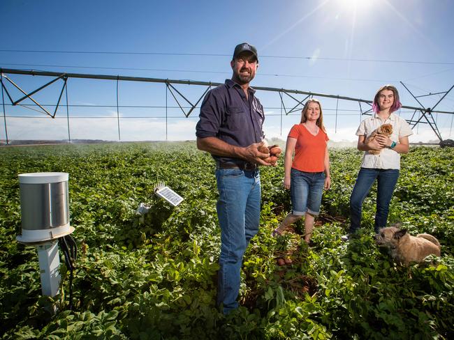 Aaron Haby with wife Elizabeth and daughter Chelsea, dog Chevy and puppy Ace, with their potato crop at Walker Flat SA. Aaron's farm is Test farm for new irrigation technology.