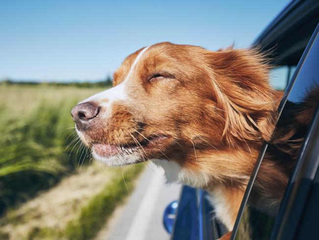 All the good smells. Picture: iStock