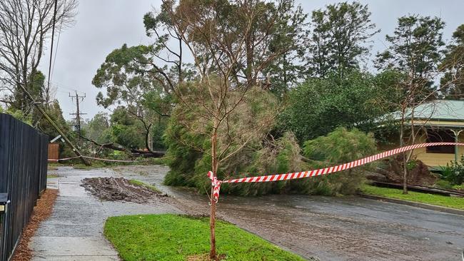 Mooroolbark storm damage. Picture: Josh Farrance