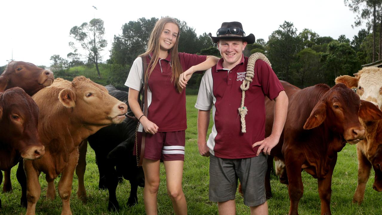 Isabel Sammes, 17, and Matthew Paton, 17, at Beenleigh State High School, which has its own farm. Picture: AAP/Steve Pohlner.