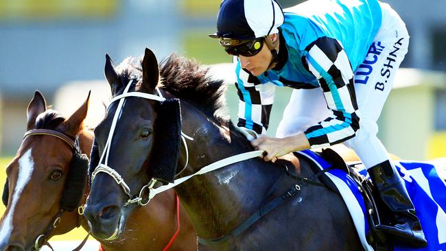 Blake Shinn wins race 7 on Black Jag during Canterbury races. pic mark evans