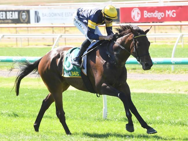 Worcester (NZ) ridden by Declan Bates wins the Bendigo Mazda Maiden Plate at Bendigo Racecourse on March 21, 2024 in Bendigo, Australia. (Photo by Brett Holburt/Racing Photos via Getty Images)