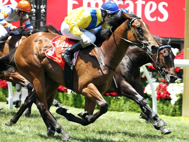 Run Naan rattles home to win the opening race on the final day of the Flemington carnival. Picture: Michael Klein