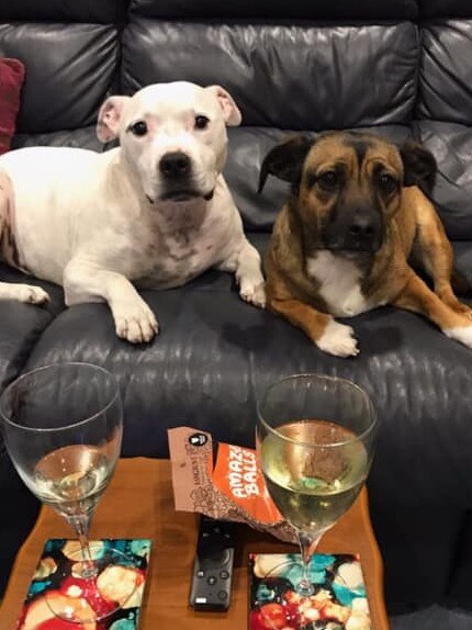 Tassie's Pawfect Pairs | Kim McCarron: Bailey D Dog and RosieMac enjoying an ISO wine in lockdown