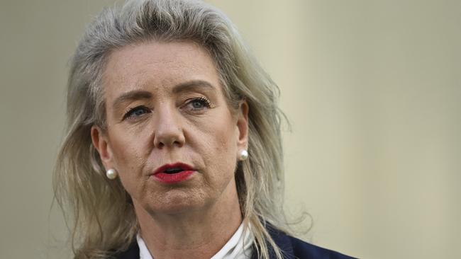 Senator Bridget McKenzie issued the stern warning on Thursday. Picture: NCA NewsWire / Martin Ollman