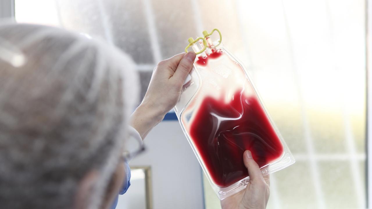 Pathology Queensland staff were alerted to a technology glitch on Friday which a Queensland Health team warned could cause delays in the availability of blood for transfusions. Photo: File.