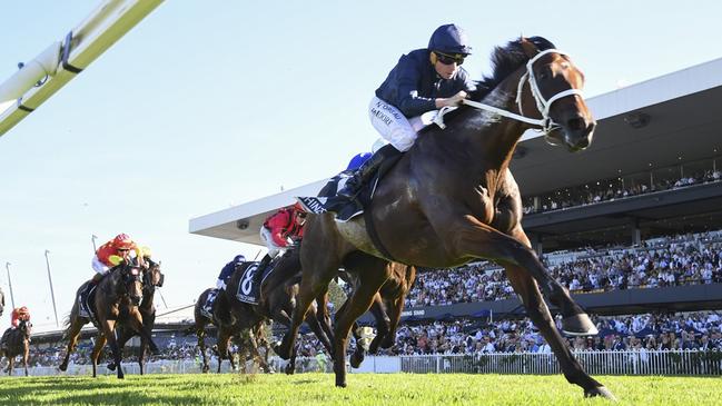 Shinzo in action at Rosehill earlier this year. Picture: Bradley Photos