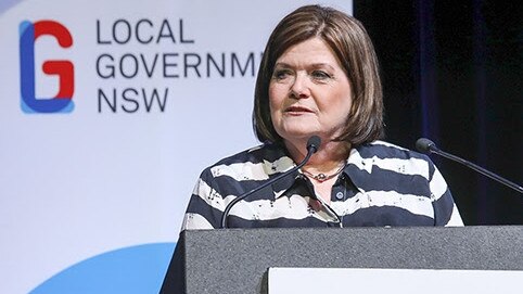 Former Local Government Shelley Hancock has announced she will not contest the next election.