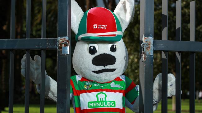 RABBITOHS Reggie Rabbit, locked out of Redfern Oval, today, due to the coronavirus crisis. Picture:Justin Lloyd