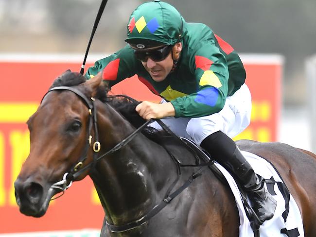 Jockey Ryan Maloney rides Alligator Blood to victory in race 6, the Magic Millions 3YO Guineas, during Magic Millions Race Day at Aquis Park on the Gold Coast, Saturday, January 11, 2020. (AAP Image/Albert Perez) NO ARCHIVING, EDITORIAL USE ONLY