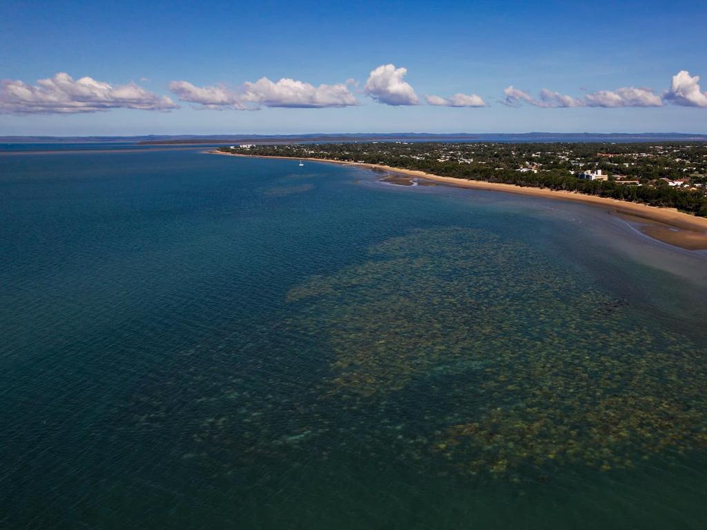Concerns raised regarding Hervey Bay's coral reefs.