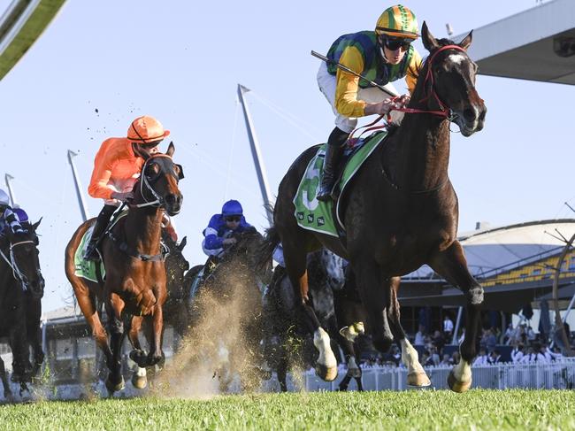 BANKSTOWN SPORTS HANDICAP Race 8 - Rosehill Gardens, 31 August 2024, Winner - Ceolwulf Picture: Bradley Photos