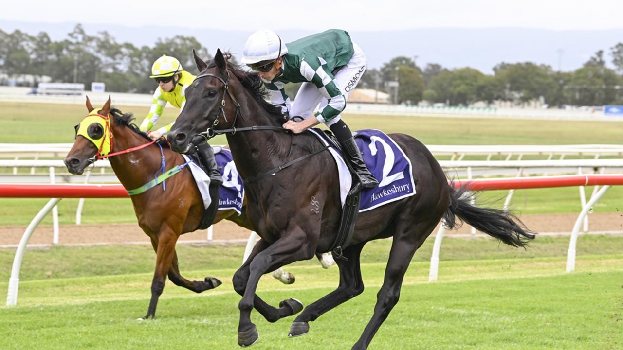 Kembla tips: Yulong gelding to go back-to-back