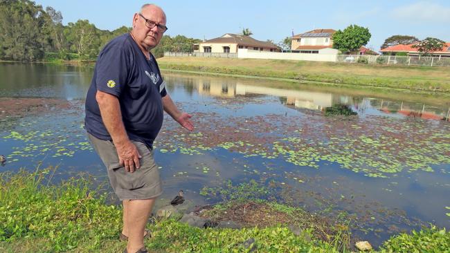 Tweed Valley Wildlife Carers volunteer Ron Potter at the site where Hercules was allegedly attacked by children with a stick and then savaged mauled by an off-leash dog.