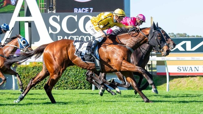 Storyville wins a gripping WA Guineas with William Pike in the saddle Picture: Western Racepix