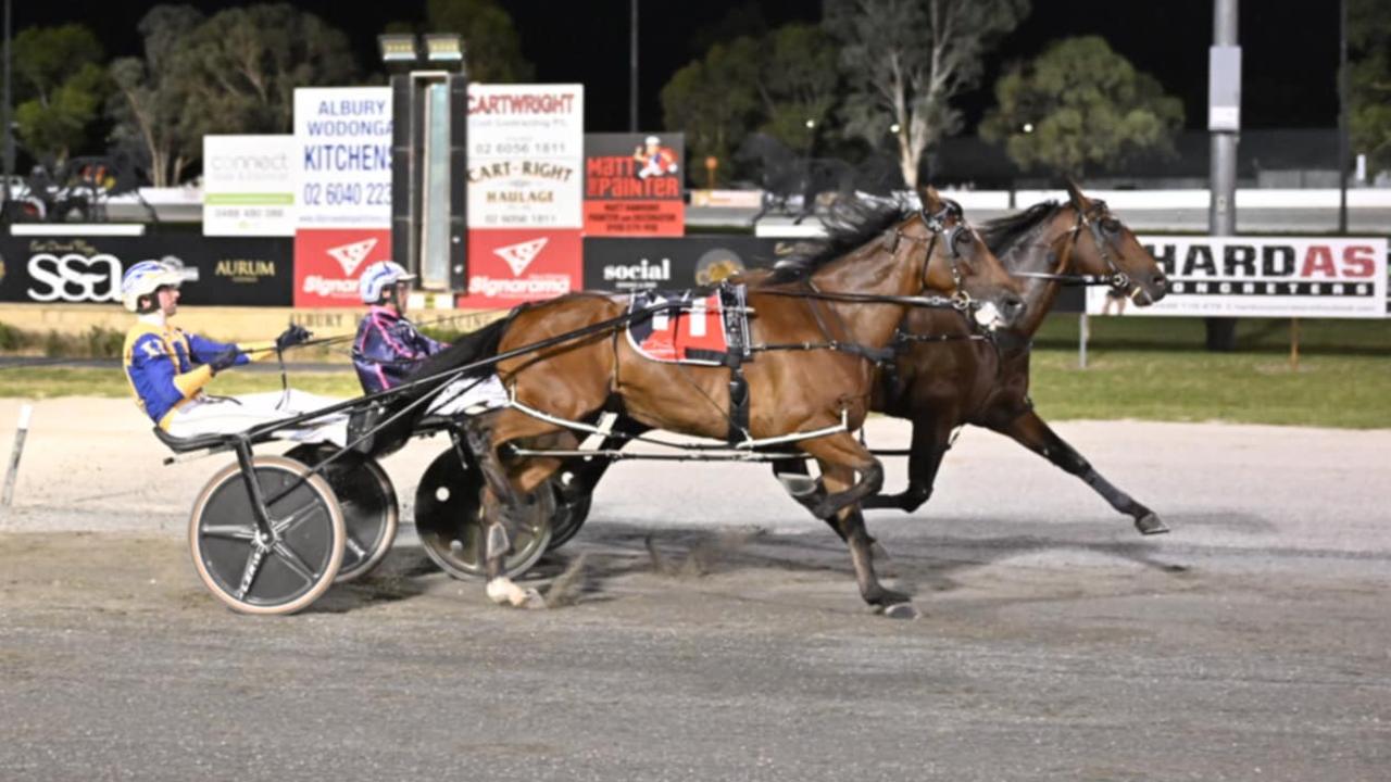 Captain Hammerhead (inside) defeats Swayzee in the Albury Cup on February 14, 2025. Picture: HRNSW/Brett Atkins