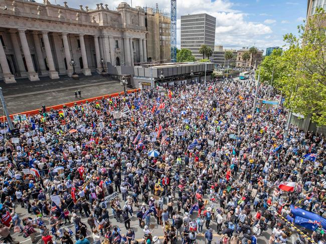 A Freedom Rally on the steps of parliament. Picture: Jason Edwards