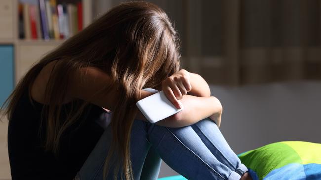 Cyber bullying. iStock image. For Kids News and Hibernation