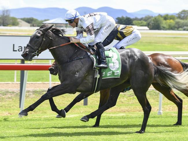 Group 1 placegetter Our Gold Hope looks a good chance in the Millie Fox Stakes. Picture: Bradley Photos