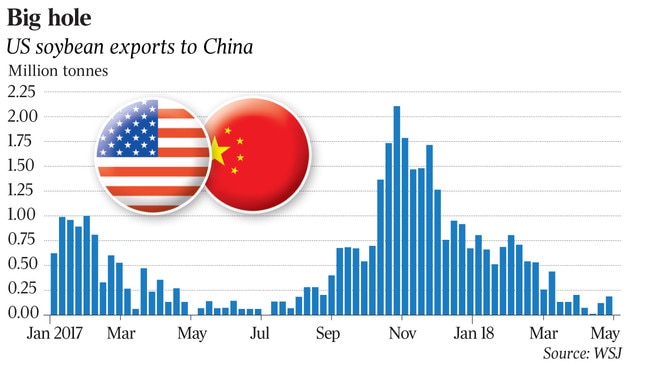 Big Hole US soybean exports to China