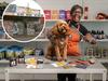 Belmont eyesore transformed into pooch’s paradise