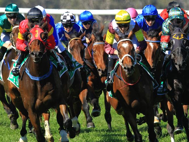 Loving home ridden by Tye Angland  (yellow cap, maroon with yellow armbands) wins race 1 during Scone  Races located in the Upper Hunter Region of NSW. The Bend . Pic Jenny Evans