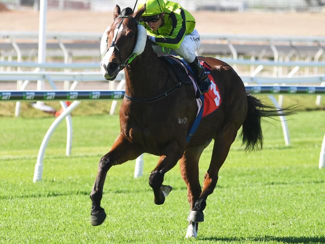 Blake Shinn and Flamboyer prove too strong for their rivals. Picture: Grant Peters, Trackside Photography