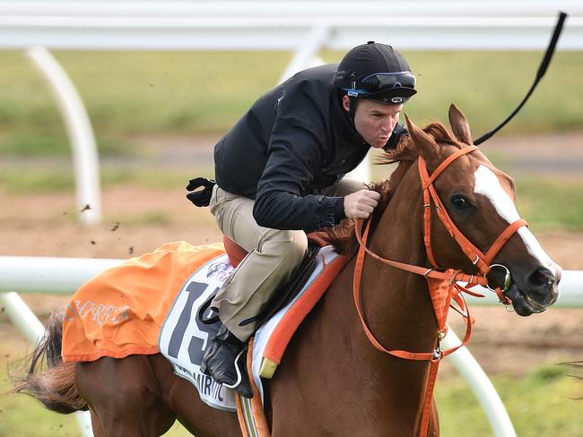 Tommy Berry rides Curren Mitotic at Werribee racecourse in Melbourne, Friday, Oct. 28, 2016. (AAP Image/Julian Smith) NO ARCHIVING