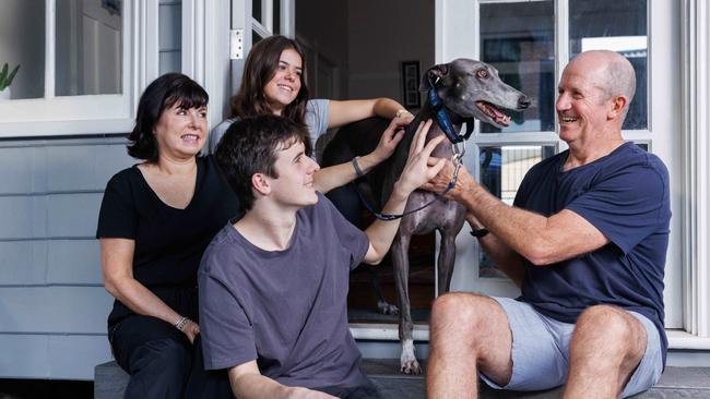 Kelly and Warren Arndell with Dallas and Liza and adopted greyhound Roxy Picture: David Swift