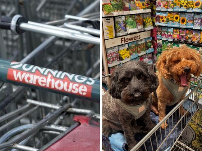 ‘Disturbing’: Star’s shock at Bunnings trend