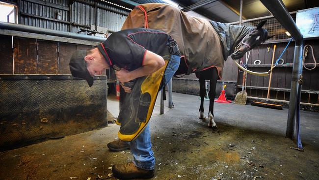 Farrier Travis Croser goes to work on a hoof. Photo: Tony Gough/NewsCorp